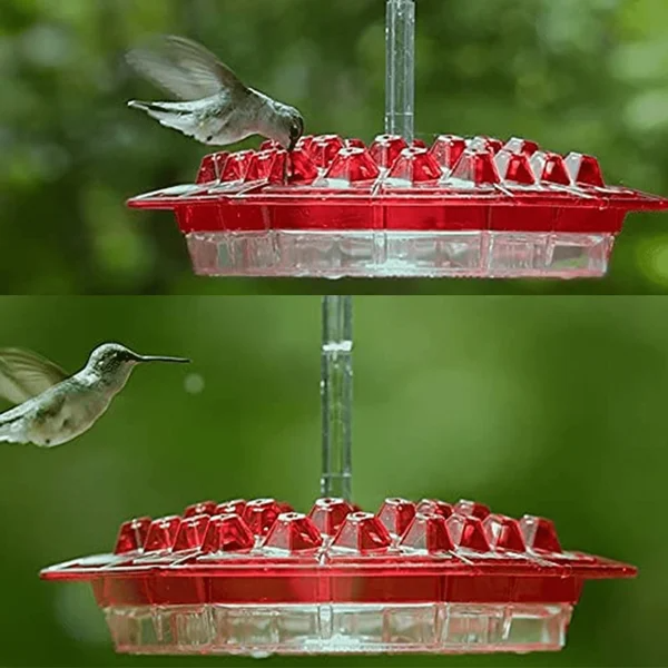 Ribili Sweety Hummingbird Feeder